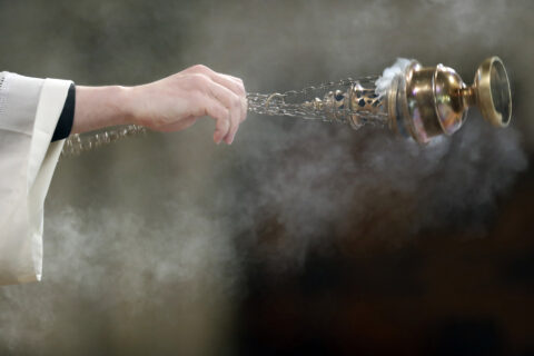 dreamstime_xl_230072619